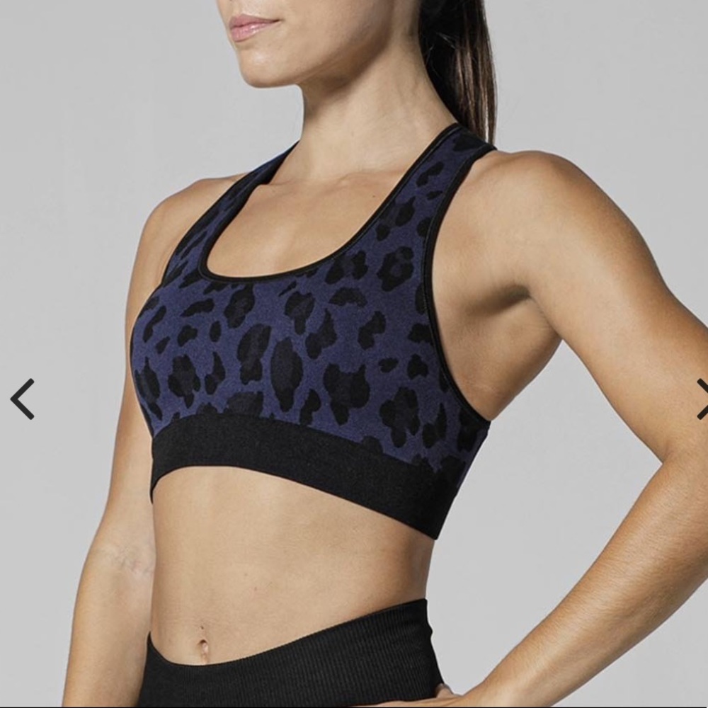 925Fit Bear Necessities Bra